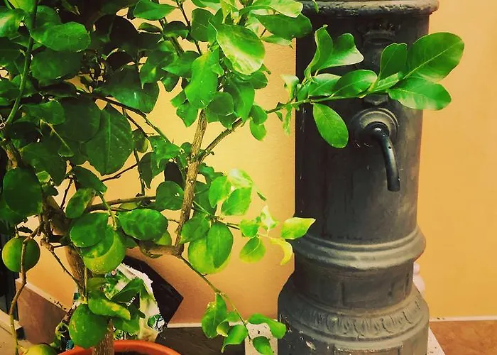 Civico 7 בית הארחה 4*